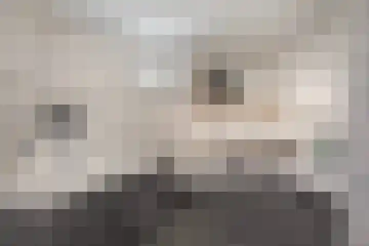 Wyns 17 Wyns thumbnail 4