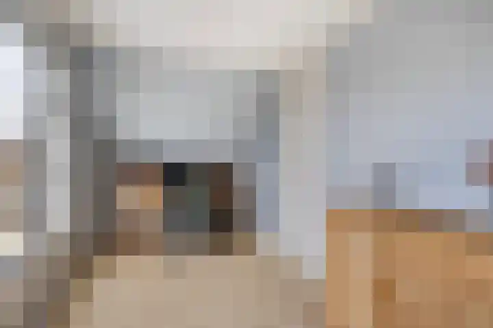 Wyns 17 Wyns thumbnail 42