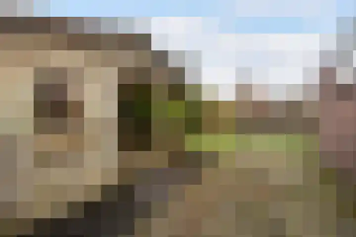 Wyns 17 Wyns thumbnail 44