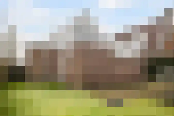 Wyns 17 Wyns thumbnail 45