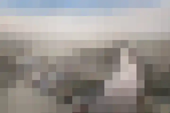Wyns 17 Wyns thumbnail 47
