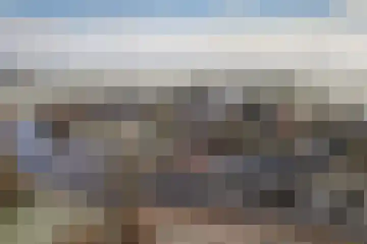 Wyns 17 Wyns thumbnail 48