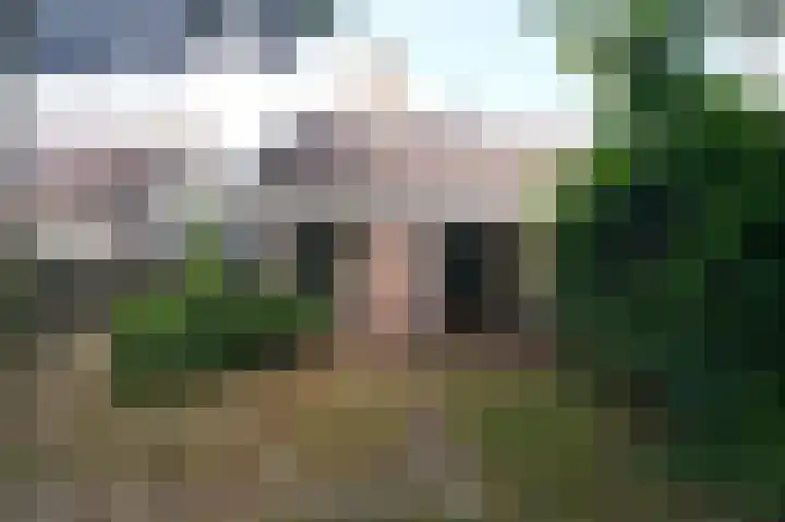 Wyns 17 Wyns thumbnail 5