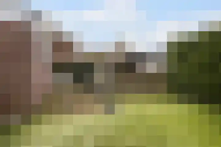 Wyns 17 Wyns thumbnail 5