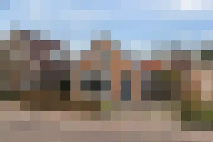 Wyns 17 Wyns thumbnail 6