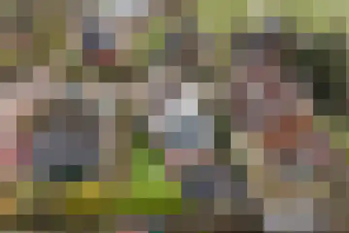 Wyns 17 Wyns thumbnail 7