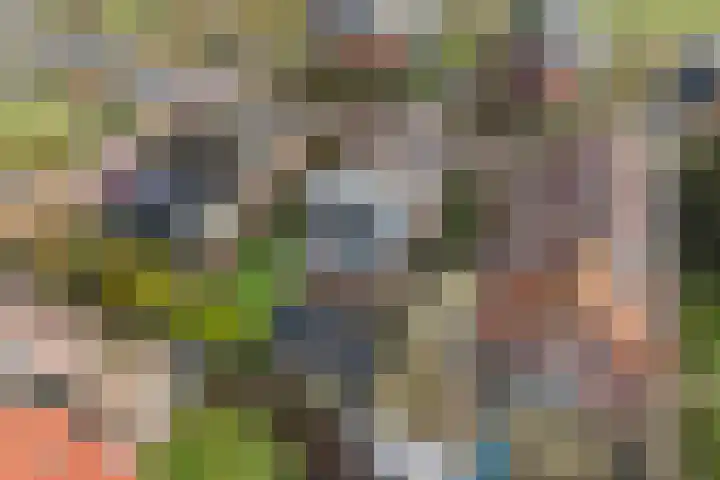 Wyns 17 Wyns thumbnail 8