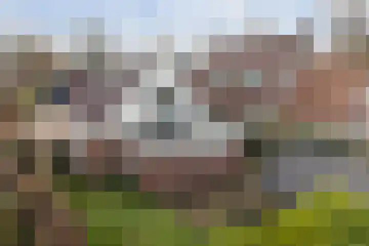 Wyns 17 Wyns thumbnail 9