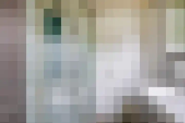 Wythústerwei 18 Stiens thumbnail 5