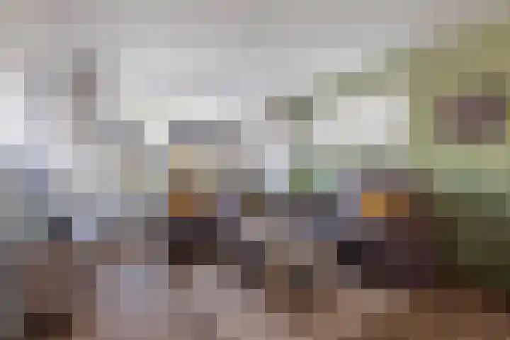 Wythústerwei 18 Stiens thumbnail 6