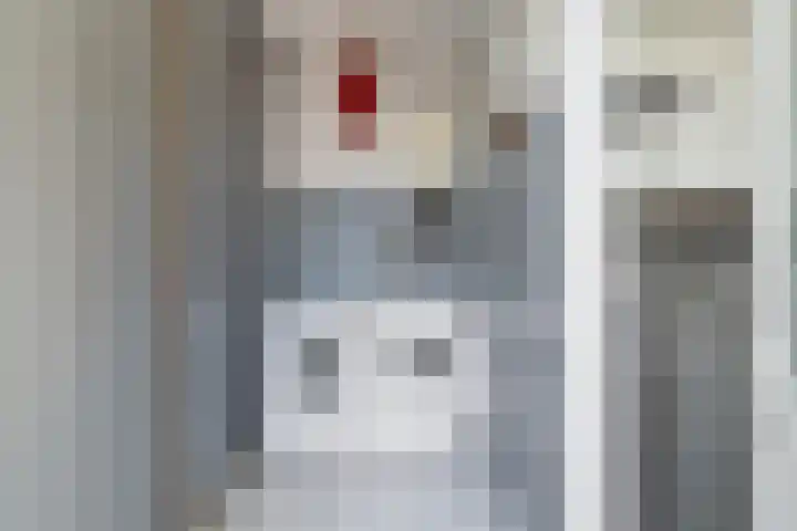 Wythústerwei 26 Stiens thumbnail 20