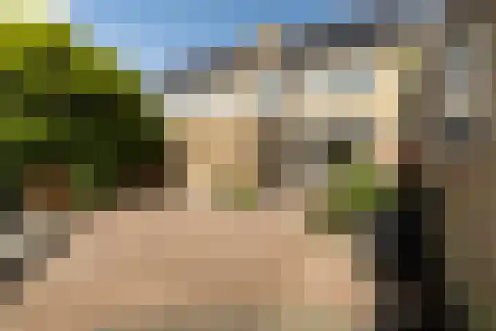 Wythústerwei 26 Stiens thumbnail 39