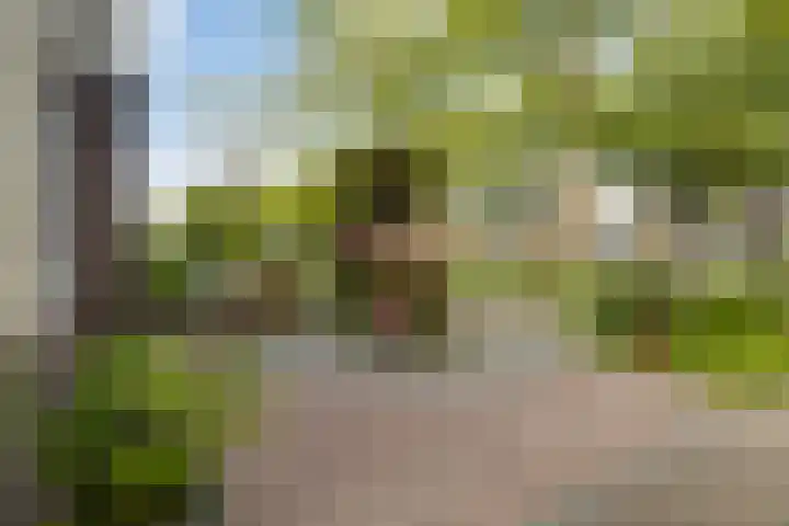 Wythústerwei 26 Stiens thumbnail 47