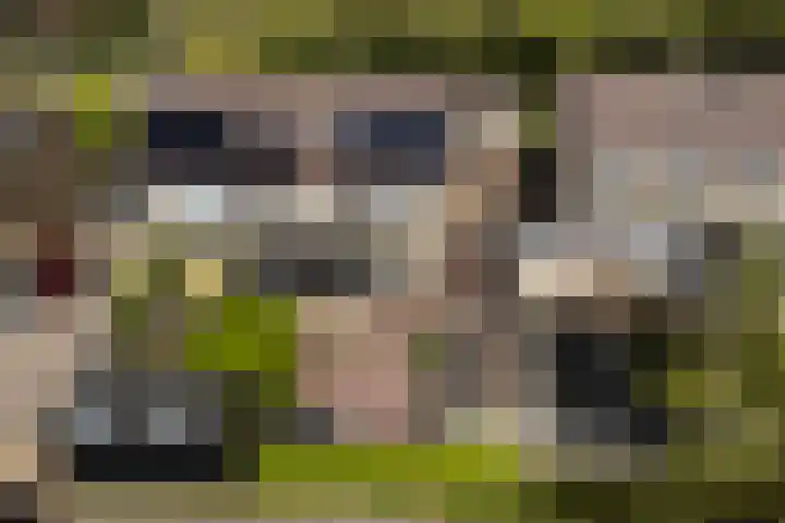 Wythústerwei 26 Stiens thumbnail 49