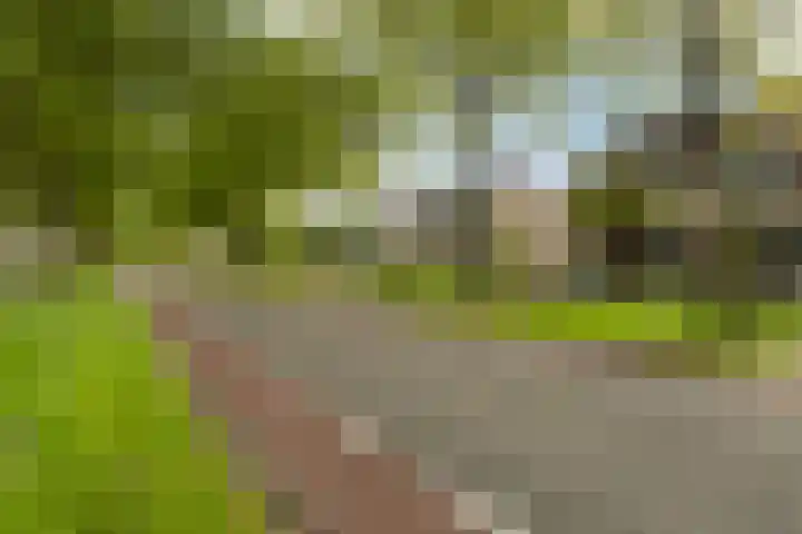 Wythústerwei 26 Stiens thumbnail 52