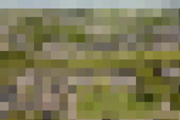 Wythústerwei 26 Stiens thumbnail 53