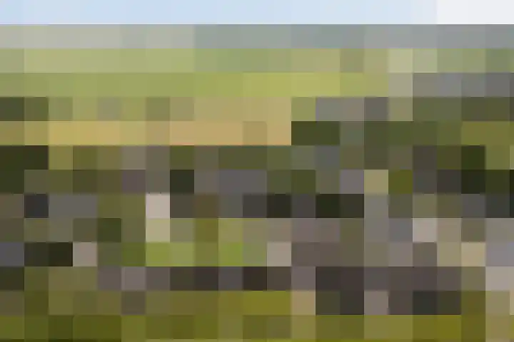 Wythústerwei 26 Stiens thumbnail 54