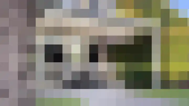 Ydinkerf 20 Eerbeek thumbnail 24