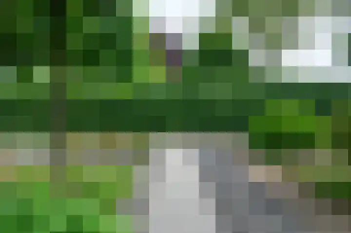 Ydinkerf 20 Eerbeek thumbnail 31