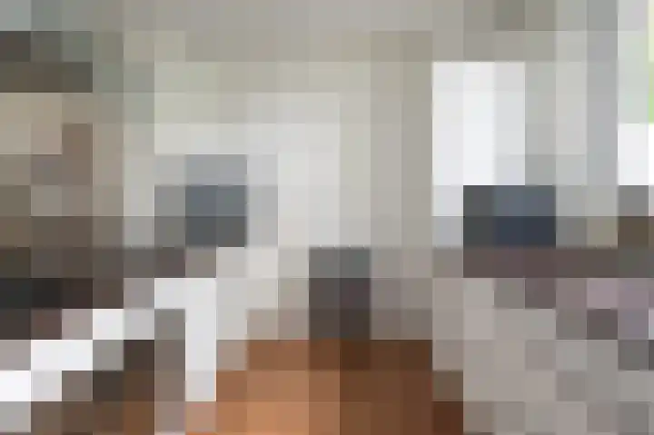Ydinkerf 20 Eerbeek thumbnail 9
