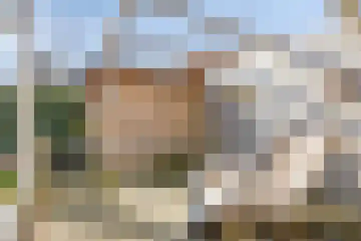 Yellowstone 22 Purmerend thumbnail 54