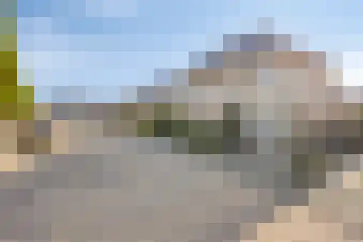 Yellowstone 22 Purmerend thumbnail 65