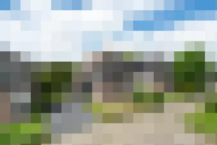 Yn 'e Lijte 113 Grou