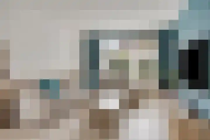 Ypelaar 20 Veghel thumbnail 11