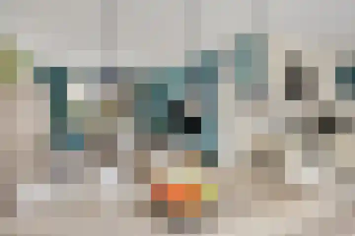 Ypelaar 20 Veghel thumbnail 14