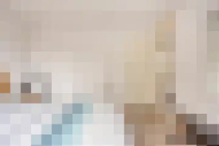 Ypelaar 20 Veghel thumbnail 20