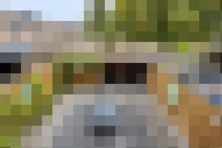 Ypelaar 20 Veghel thumbnail 21