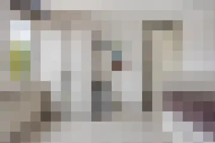 Ypelaar 20 Veghel thumbnail 26