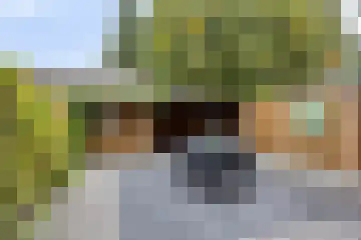 Ypelaar 20 Veghel thumbnail 33