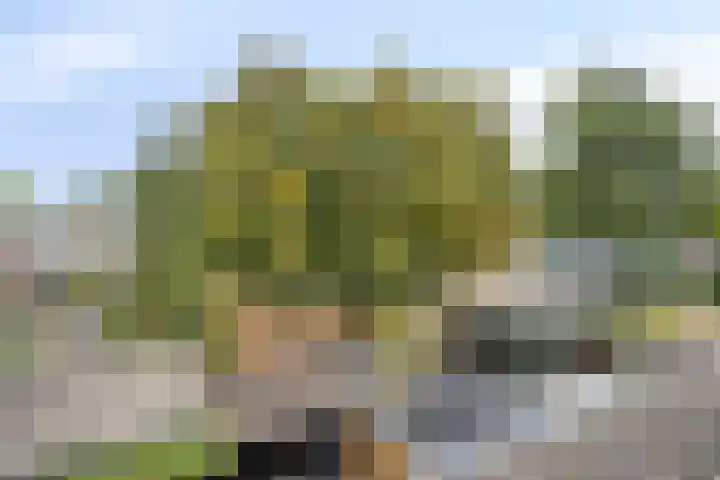 Ypelaar 20 Veghel thumbnail 36