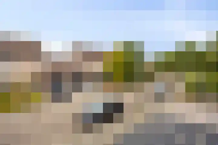 Ypelaar 20 Veghel thumbnail 37