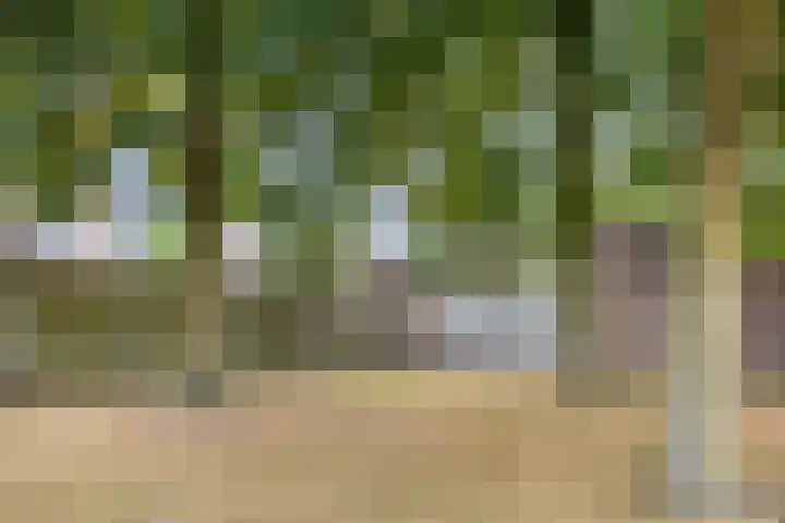 Ypelaar 20 Veghel thumbnail 40