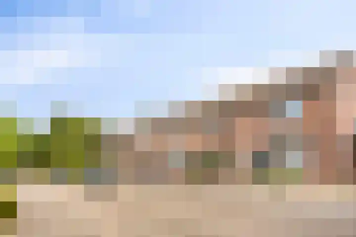Ypelaar 20 Veghel thumbnail 6