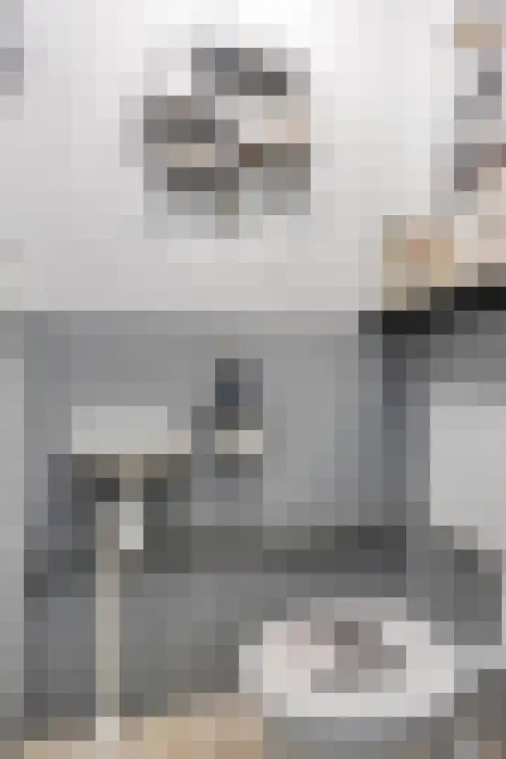 Ypelaar 20 Veghel thumbnail 8