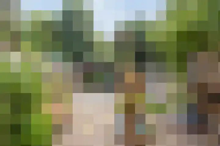 Ypelobrink 105 Enschede thumbnail 36