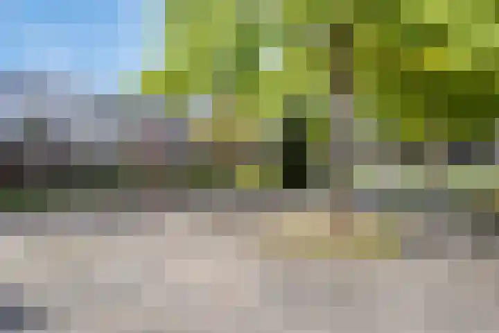 Ypelobrink 105 Enschede thumbnail 43