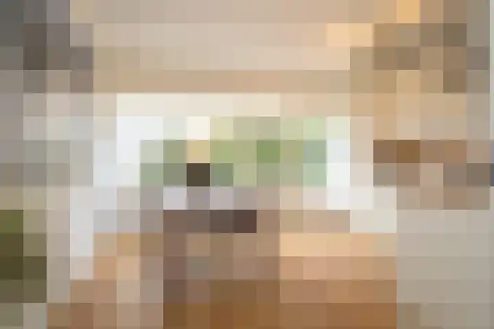 Ypelobrink 110 Enschede thumbnail 12