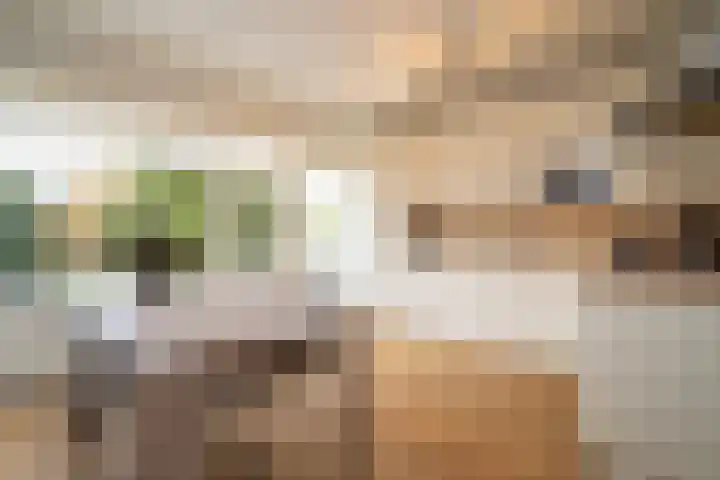 Ypelobrink 110 Enschede thumbnail 13