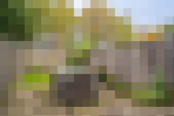 Ypelobrink 110 Enschede thumbnail 28