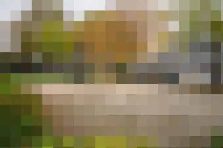 Ypelobrink 110 Enschede thumbnail 32