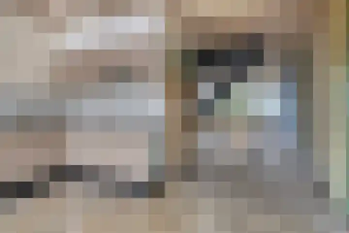 Ypelobrink 117 Enschede thumbnail 19