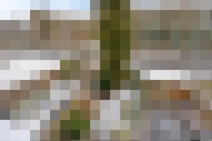 Ypelobrink 117 Enschede thumbnail 32