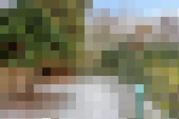 Ypelobrink 117 Enschede thumbnail 34
