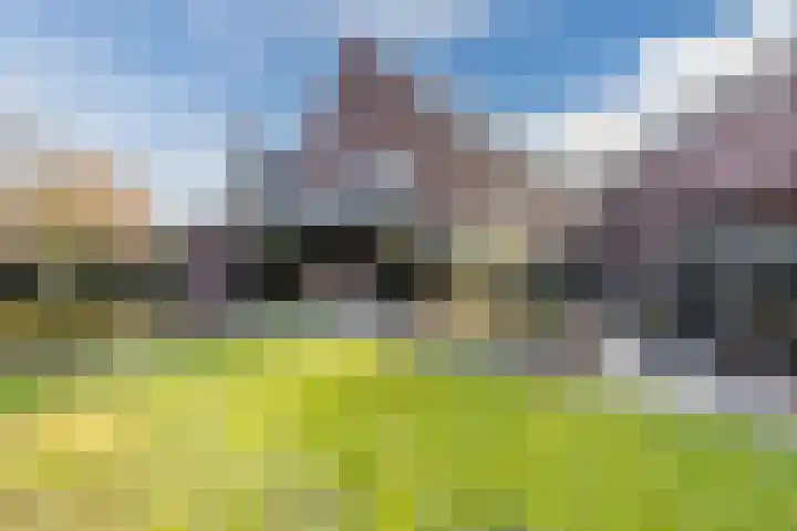 Ypeloweg 2 d Enter thumbnail 12