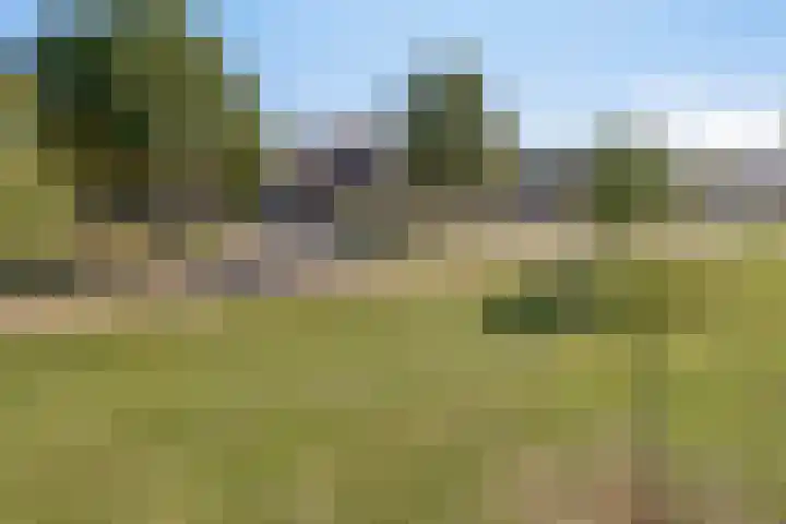 Ypeloweg 2 d Enter thumbnail 54