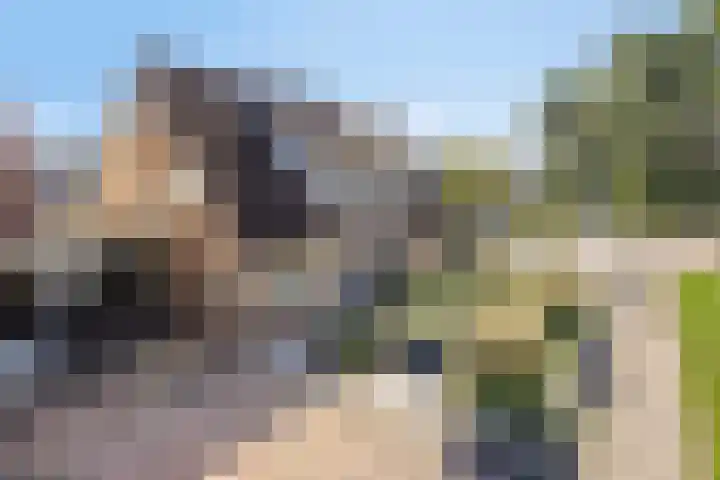 Ypeloweg 2 d Enter thumbnail 6